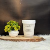 اسکراب آیسانلی اسکالپ پوست خشک نارگیلی